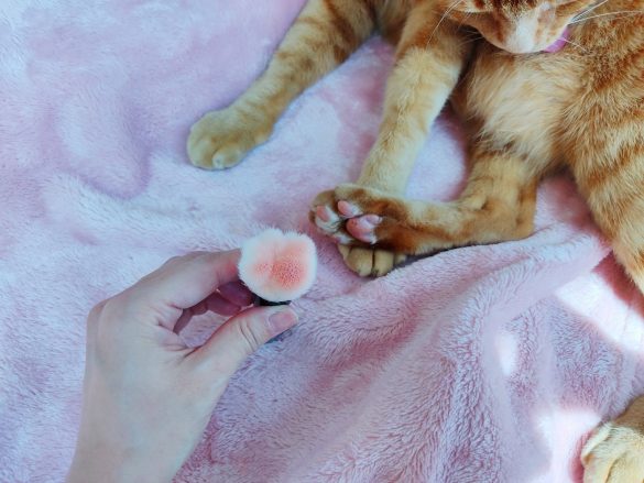 「ねこのメイクブラシ」1,210円（税込）