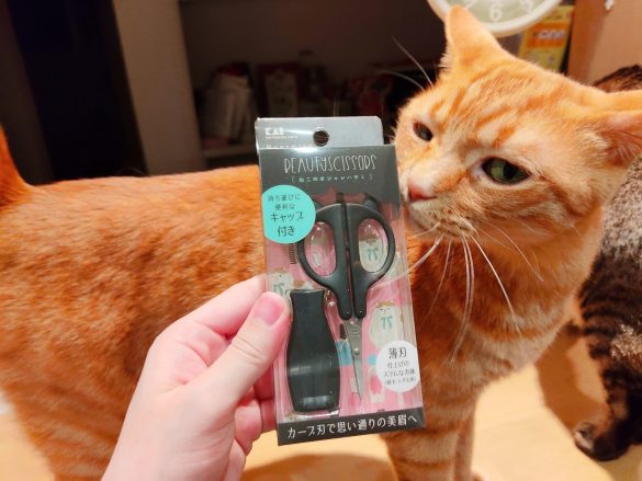 ねこのオシャレハサミ990円(税込)