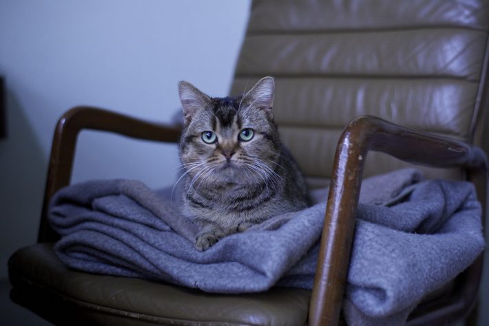 夏への扉場面写真12