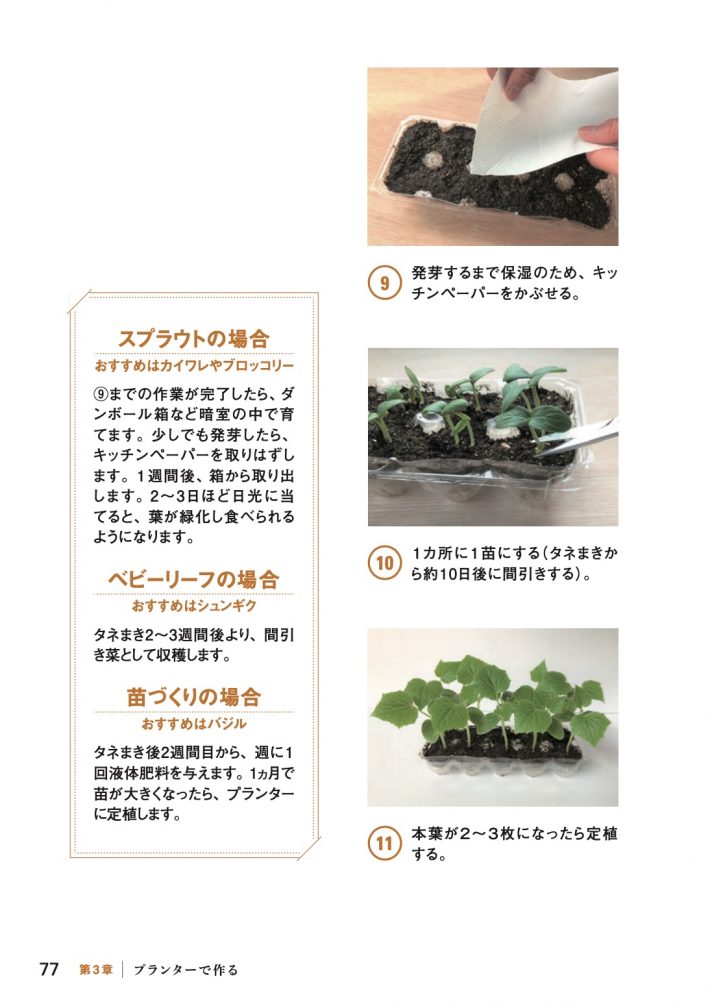 キュウリ苗の育て方3