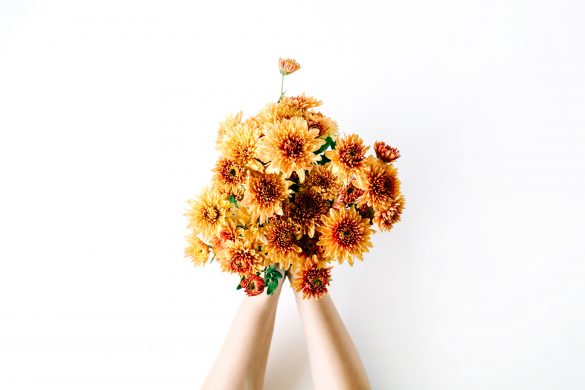 六白金星「本格的に忙しくなる前に準備を」