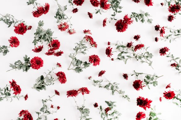 五黄土星「信頼を得ることを大切に」