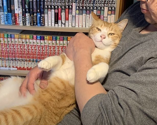 現在のきなこさん