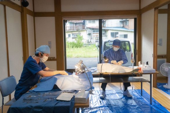 僕は全然強い人間ではない