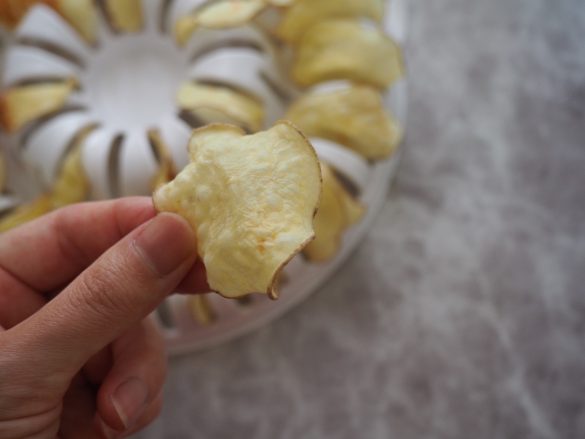 感触も市販のポテトチップスにかなり近い