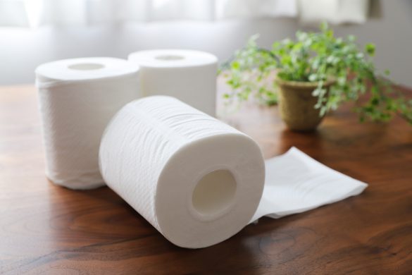 詰まりやすいトイレットペーパーの種類