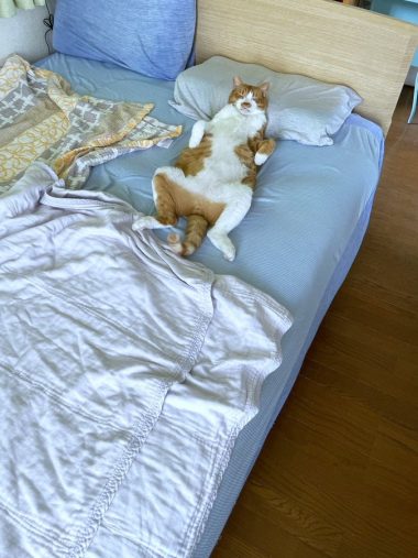 きもちよさそ~。開放感満載なおっぴろげ姿