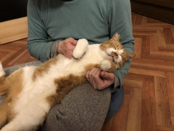 甘えん坊さんに大変身したマナくん