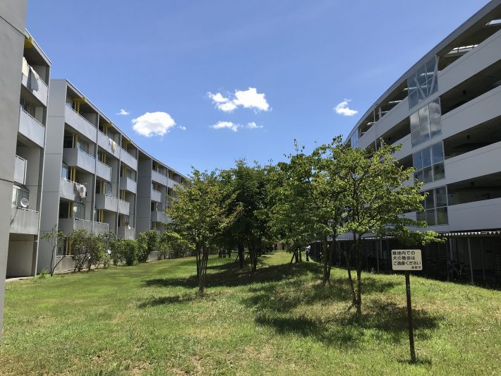 今井ニュータウン⑮（芝生もきちんと手入れされている）