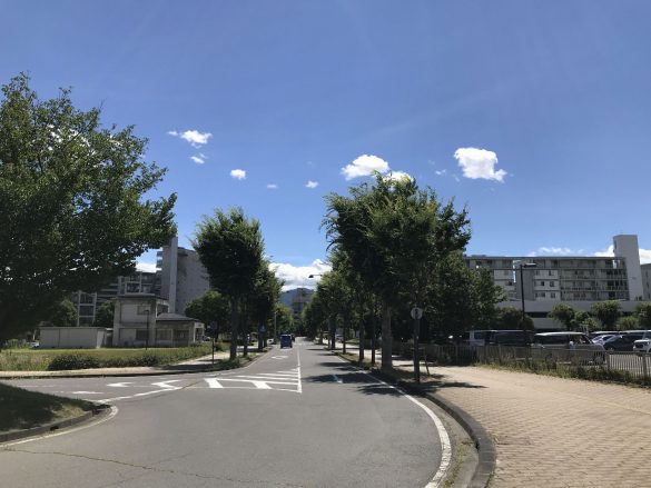 今井ニュータウン②(今井駅前から見た今井ニュータウン)