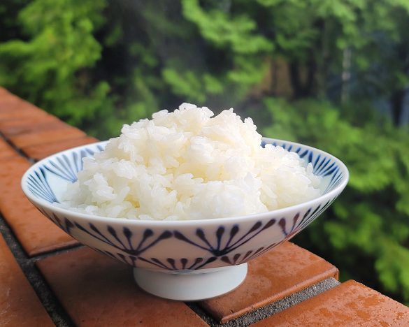 美味しい新米をめしあがれ