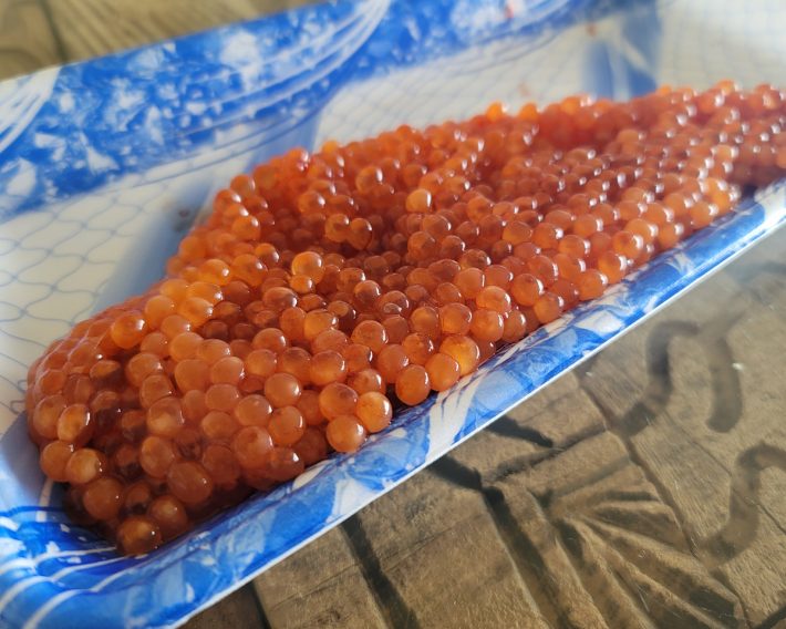 旬の生筋子。1腹2000円以上する高級品だが、扱い方がわかると極上感ある「いくら醤油漬け」を作ることができる