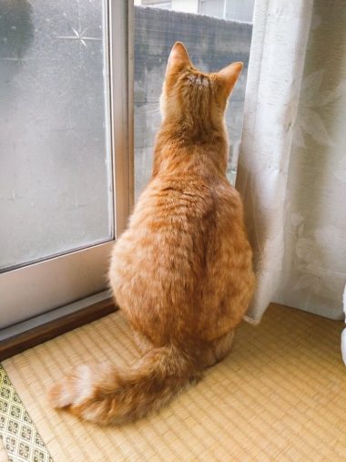 外には危険がいっぱい