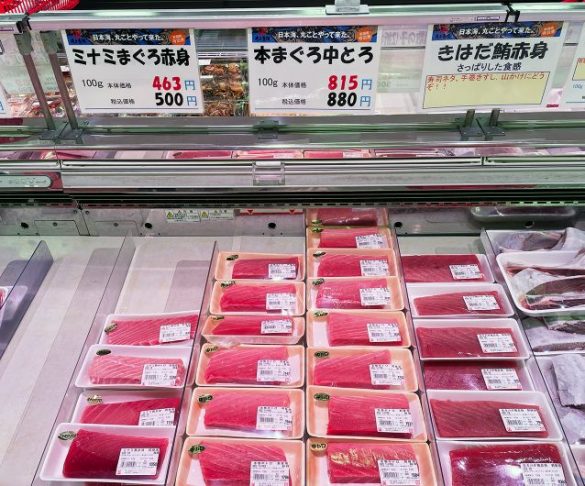 同じように見えるマグロも、その種類はさまざまです