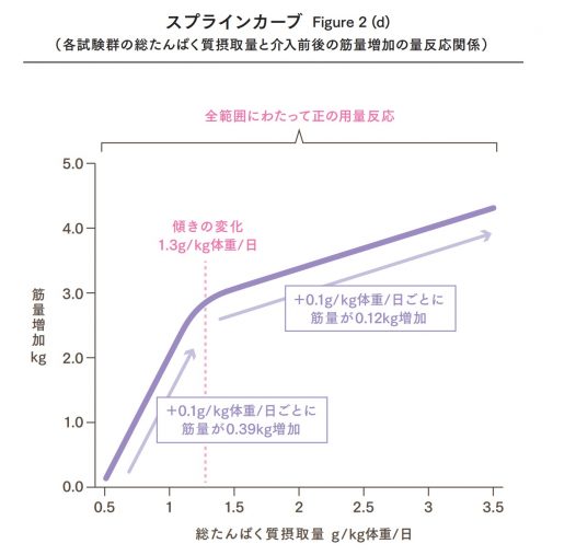 たんぱく質摂取量と筋肉量増加との用量反応関係