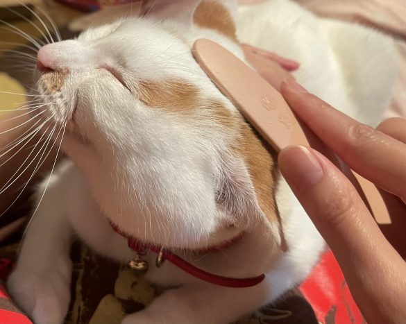 気持ちよくて今にも寝落ちしそう