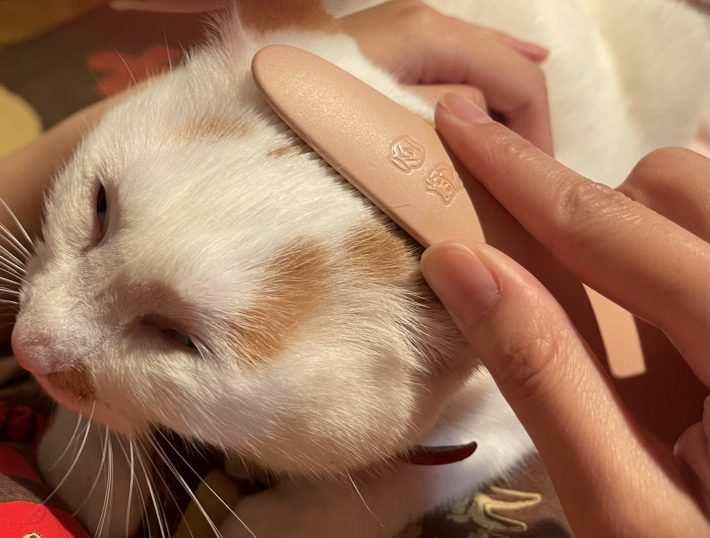 顔がとろけすぎて変顔に