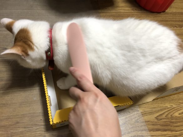 背中のあたりをねこじゃすりでなでてみます