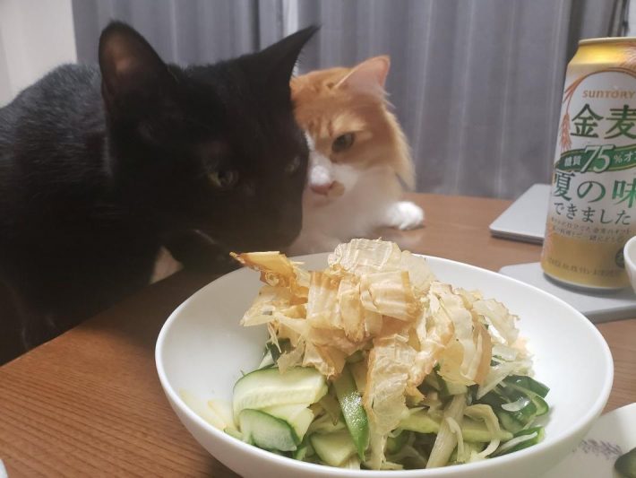 一緒に食べ物の強奪を目論むことも