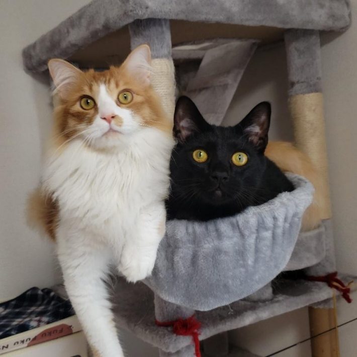 うにくんさくくん