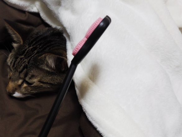 ブラシの付け根は洗いやすいように約160度にカーブ