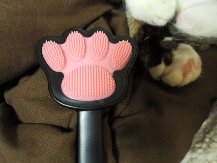 孫の手ならぬ猫の手を発見！