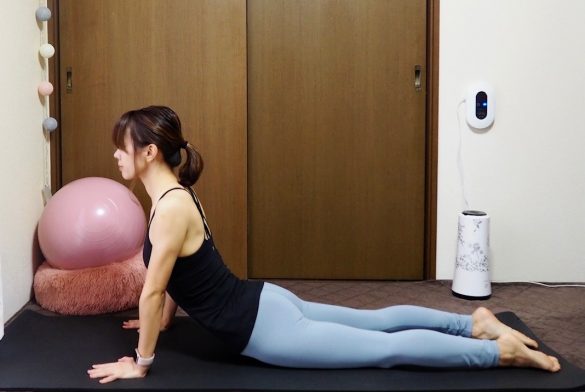 (2)【息を吸う】手で床を押してひじを伸ばし、上体を起こす