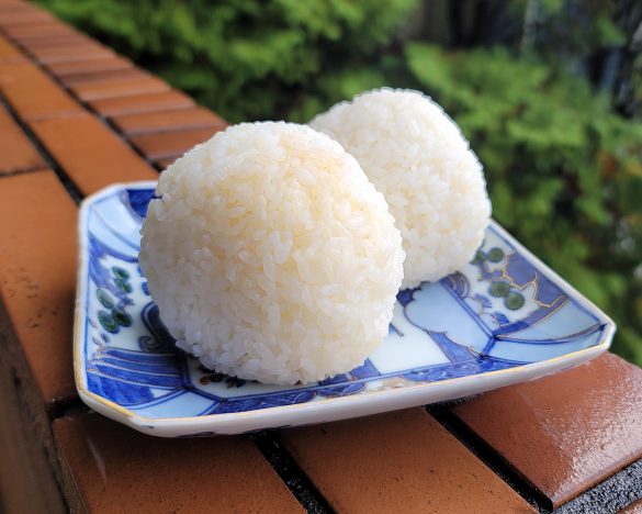 塩麹を使ってごはん炊いたこと、ありますか?