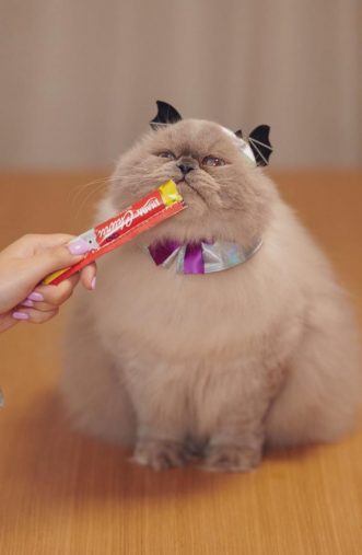 フォルムが最高…!