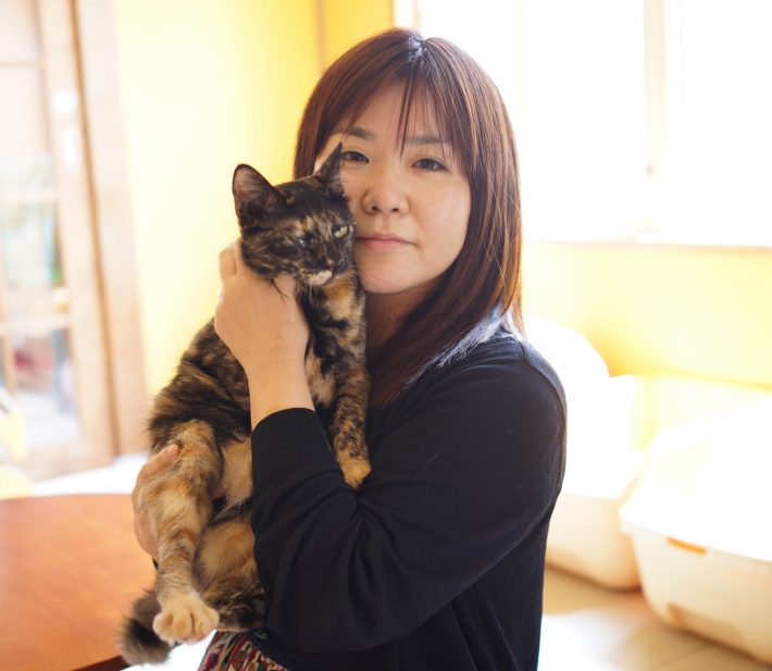 猫が日本を救う