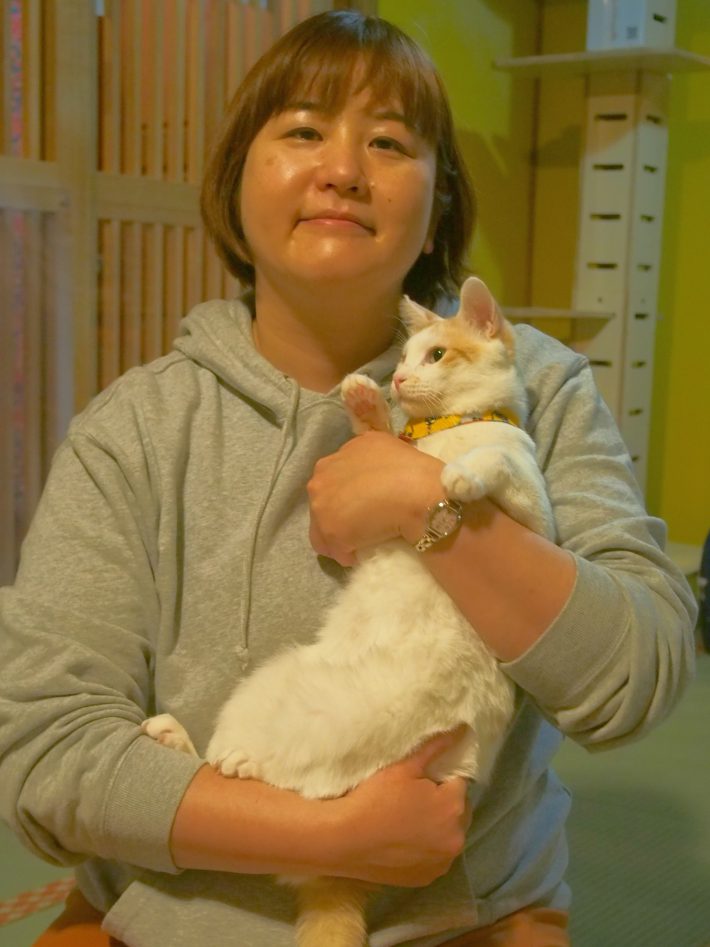 猫が日本を救う