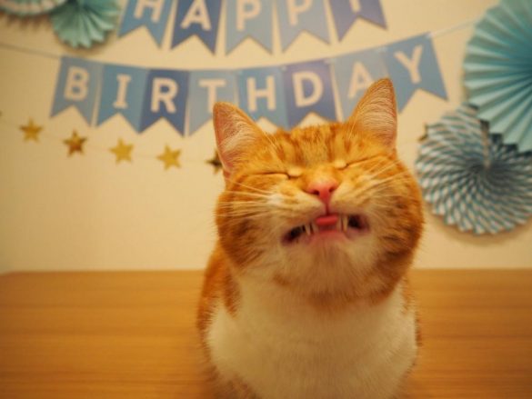 喜びを噛み締める（？）うりくん