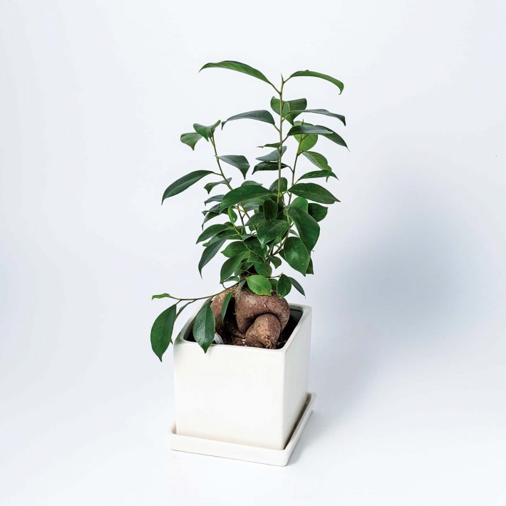 3000円以下で買ってよかったモノ