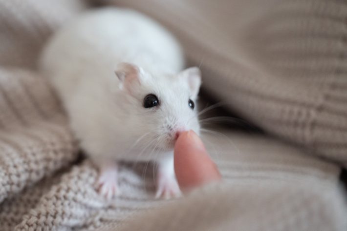 悶絶級のハイタッチ