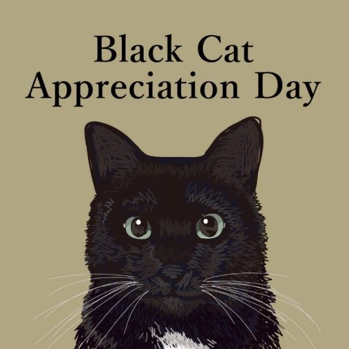 黒猫感謝の日に描いたイラスト