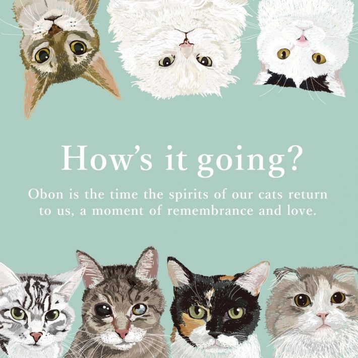 亡くなった動物が辿り着くとされている虹の橋をテーマにした作品