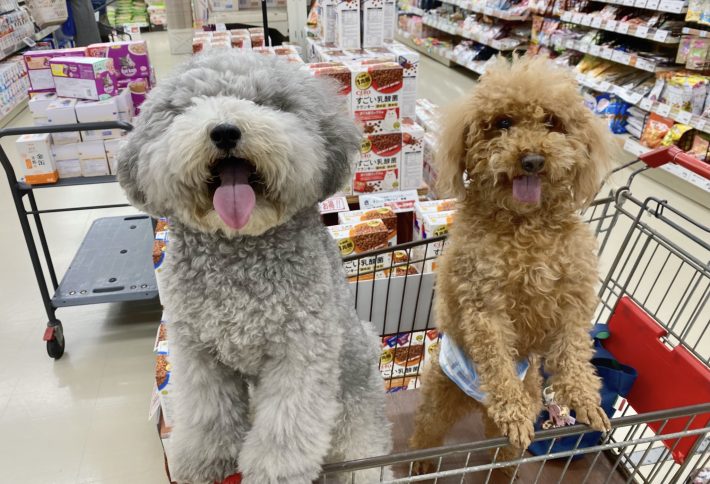 れあるくん（左）、レノンくん（右）