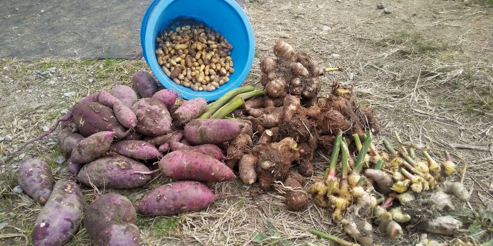 年収300万円に学ぶ貯蓄術