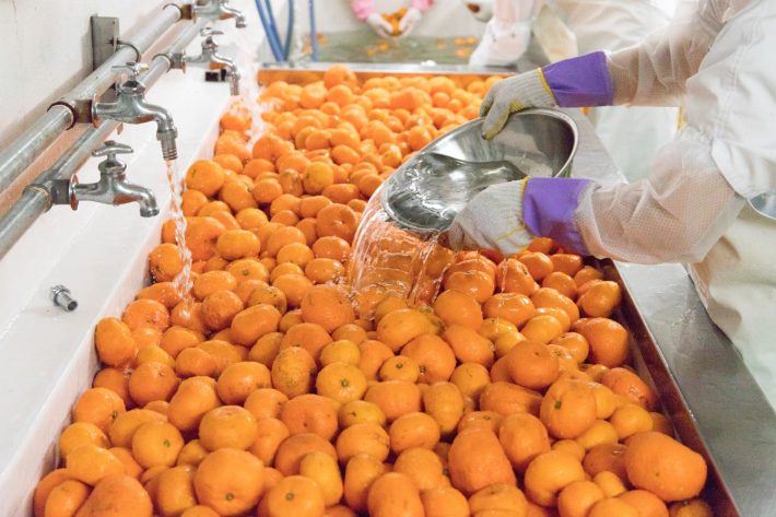 『コーボンマーベルN』mikan