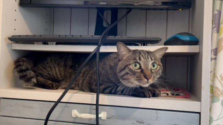 そこに隠してあるの、知ってるよ