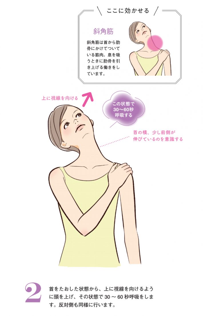 首のストレッチ2