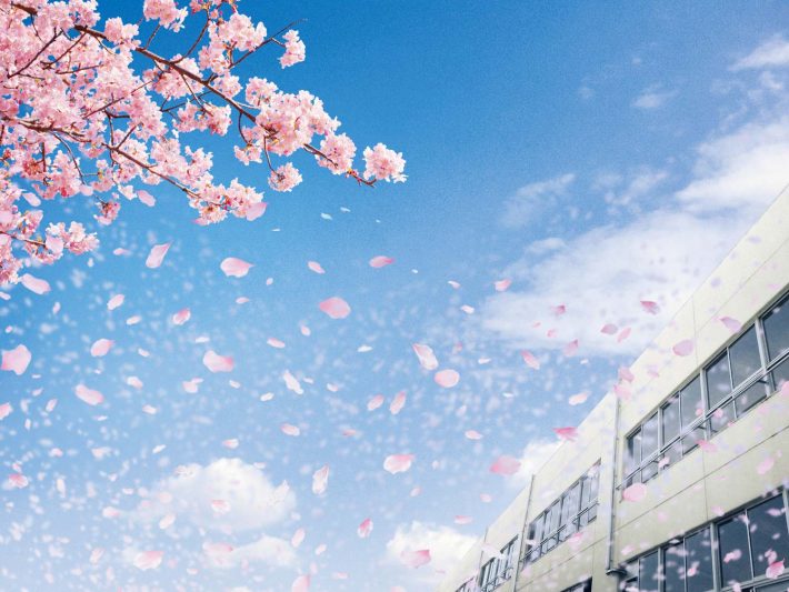 最強の家計への道