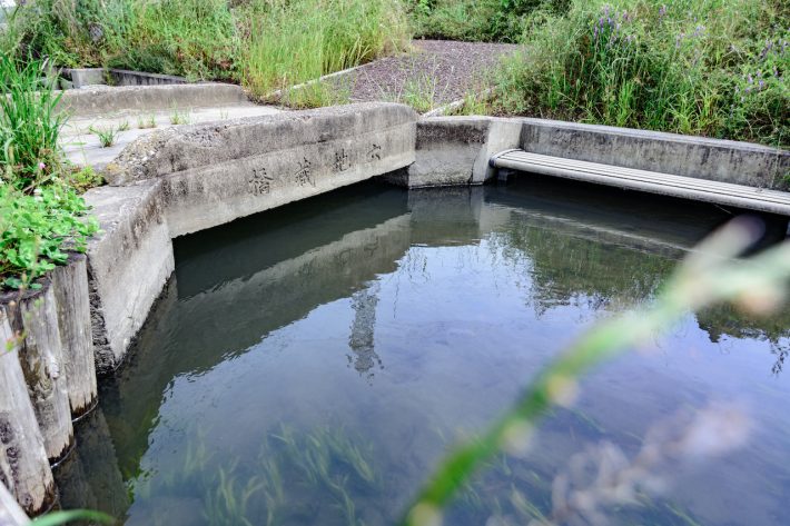 用水路に落ちてずぶ濡れに