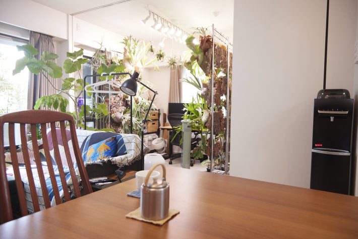 アケミン邸にもマッチ