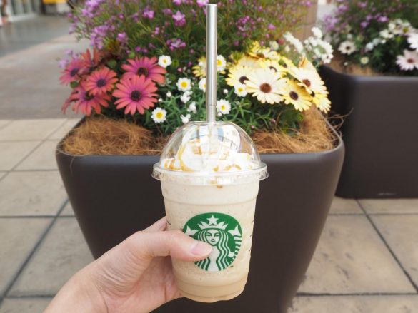 ダイソーのステンレスストロー