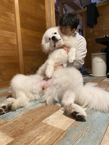 甘えんぼうのシュシュ