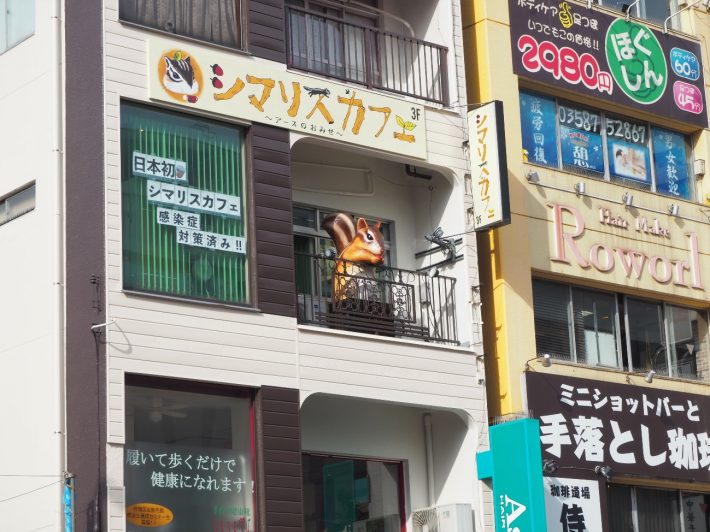 シマリスカフェ