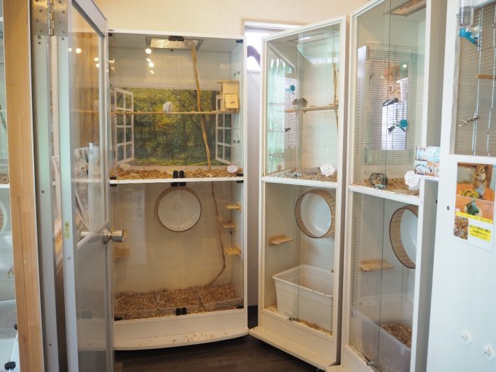 シマリスカフェ