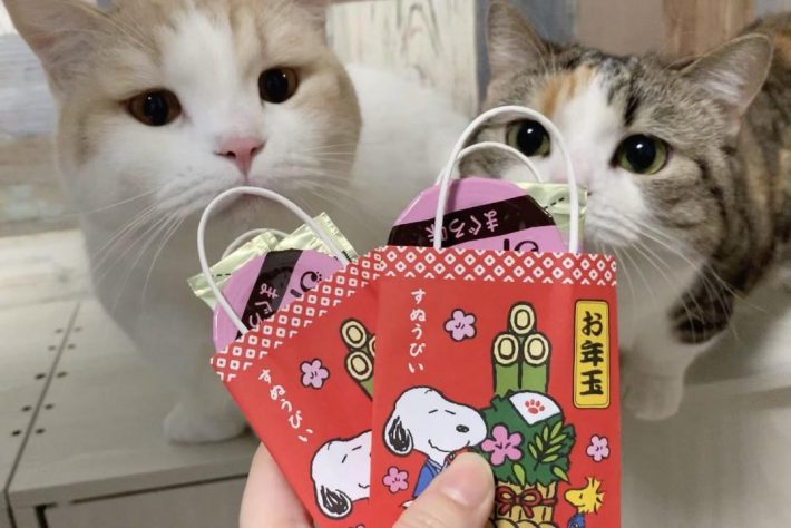 お年玉をプレゼントされる2匹