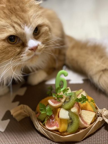 小太郎くんお誕生日